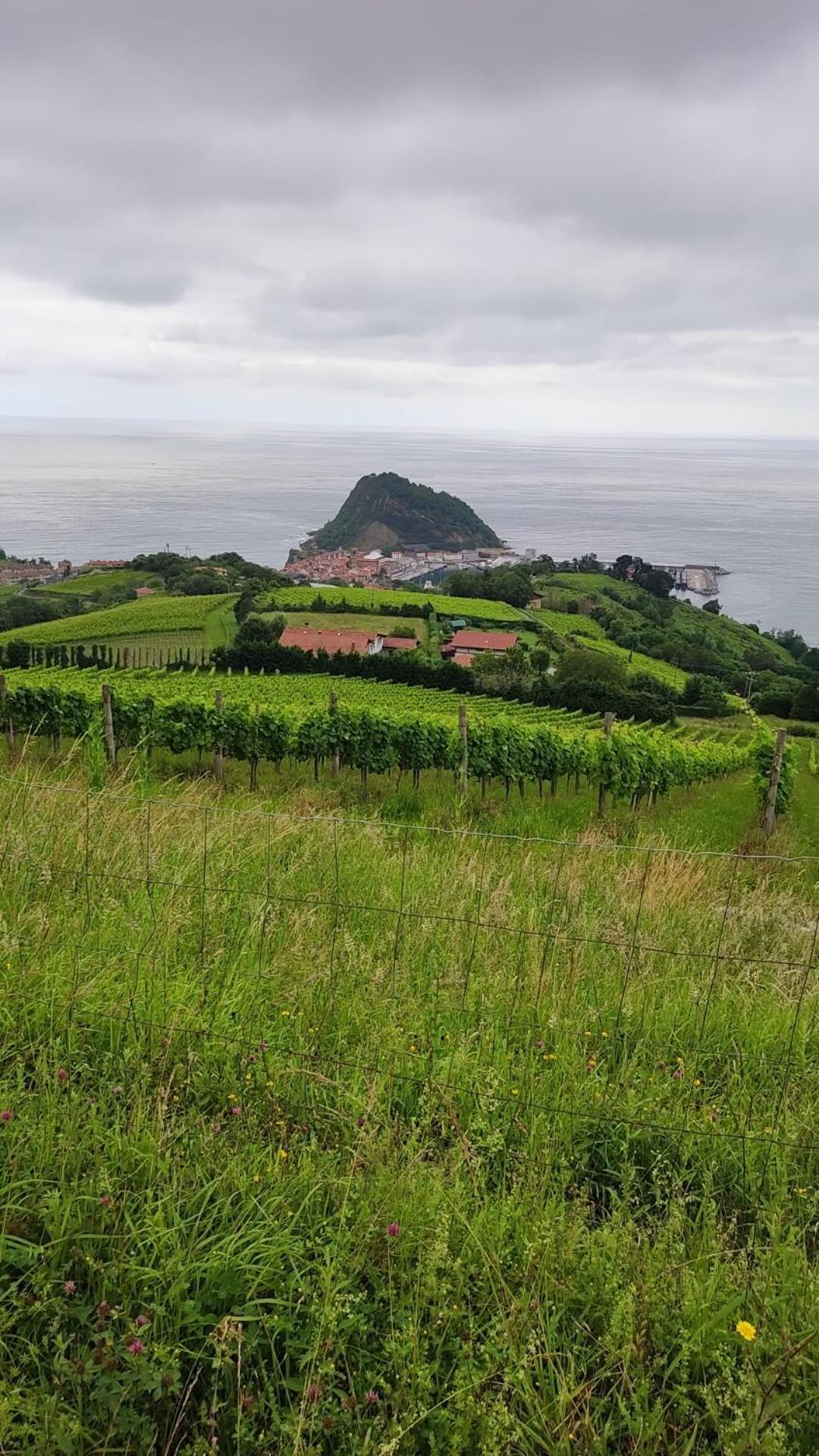 Balentziaga * Getaria